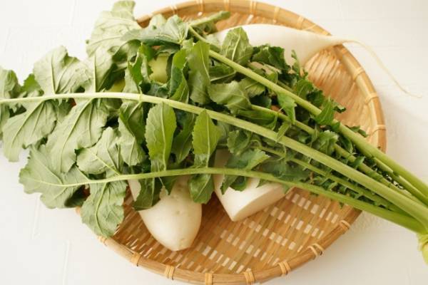 大根の葉を使う際の注意点を紹介！　栄養素やおすすめレシピも