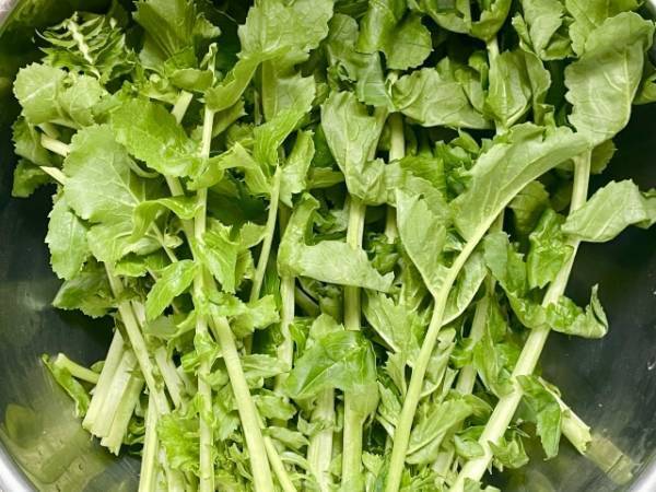 大根の葉を使う際の注意点を紹介！　栄養素やおすすめレシピも