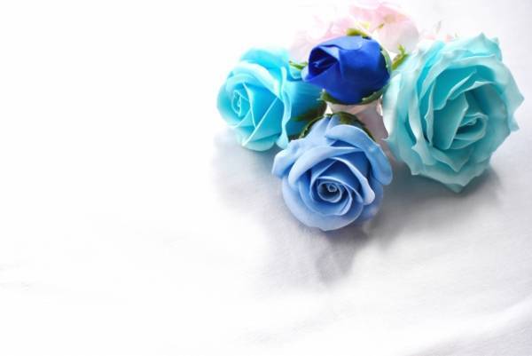 青いバラの花言葉は？　バラの本数ごとの花言葉も紹介！
