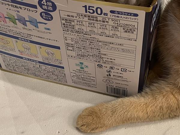 空き箱を捨てようと思ったら？　目にした光景に「そんな目で睨まなくても…」