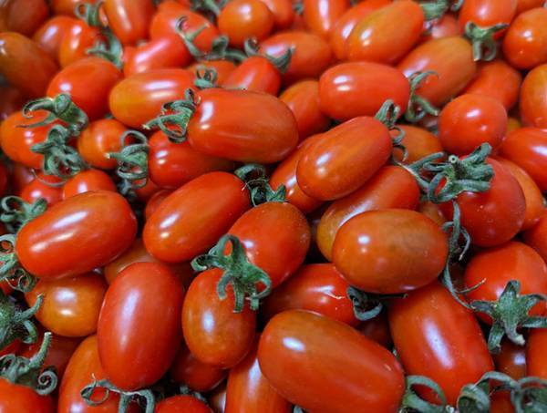 トマトのヘタは食べないで！　トマト農園の注意喚起に「初めて知りました」