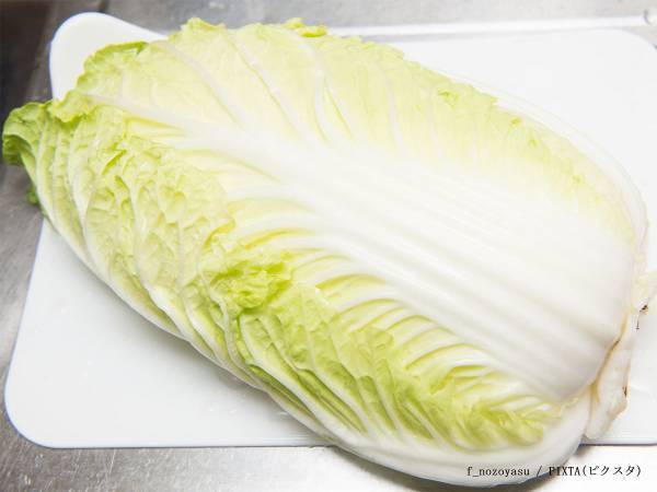 白菜の黒い点、食べても大丈夫？　農家の回答に「知らなかった！」