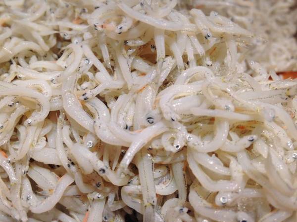 スーパーで買ったシラスのお腹が赤かった　品質に問題は？　企業の解説に「初耳だった」