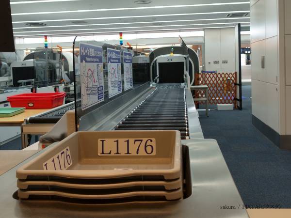 飛行機に持ち込める？　JALの回答に「知らなかった」「楽しい旅行ができる」