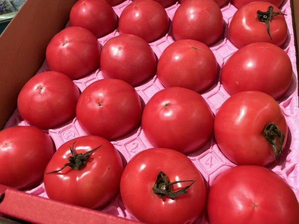 トマトを選ぶ時はココを見て！　トップバリュの解説に「いいこと聞けた」