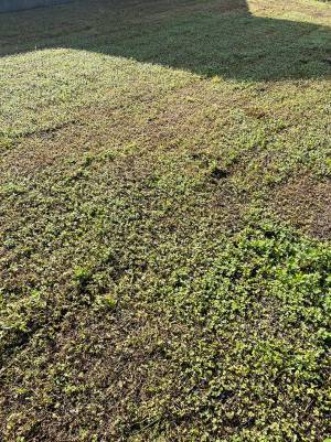 「待っているのは地獄です」　『あるもの』を畑に捨てた結果にゾッ