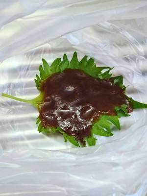 大葉に焼肉のタレかけてみて！　うますぎて「おかわり止まらん」