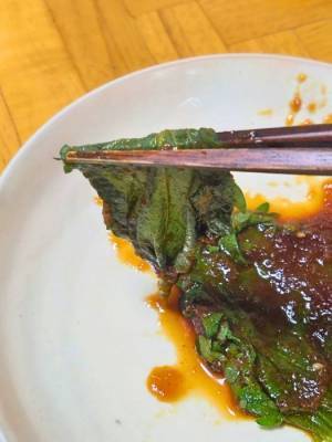 大葉に焼肉のタレかけてみて！　うますぎて「おかわり止まらん」