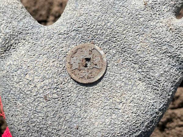 畑で『３００年以上前の落とし物』を発見　「いくらになるかな」「お宝だ」