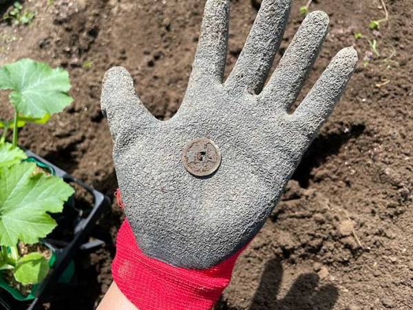 畑で『３００年以上前の落とし物』を発見　「いくらになるかな」「お宝だ」