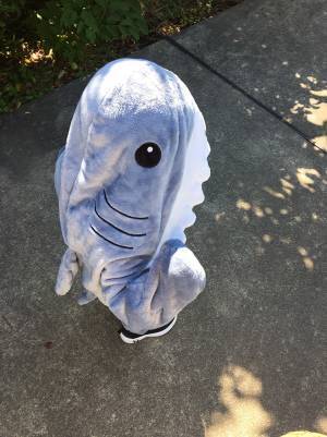 「サメで登園するといってきかない」　頭を抱える母親が見た姿に「かわいすぎるやろ」