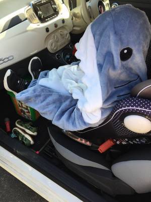 「サメで登園するといってきかない」　頭を抱える母親が見た姿に「かわいすぎるやろ」