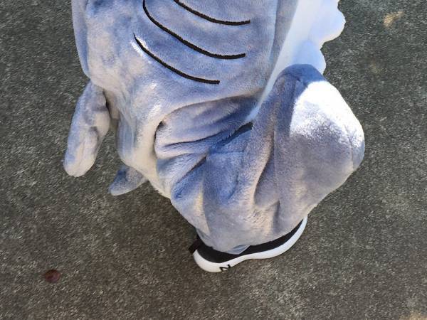 「サメで登園するといってきかない」　頭を抱える母親が見た姿に「かわいすぎるやろ」