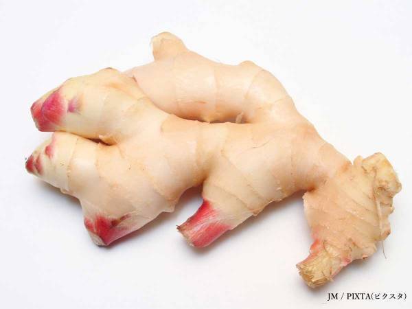 新ショウガ見つけたらやるしかない　JA全農が教える『炊き込みご飯』が爽やかで絶品