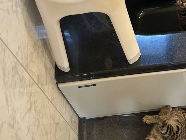 『事件現場』を撮影　バス内の写真に「勝てるかな？」「これは手強い」