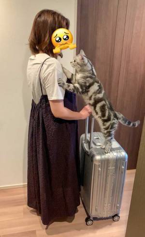 スーツケースを持って、旅に出ようとしたら？　「もう旅行に行けなくなる」