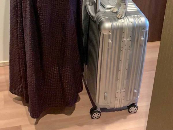 スーツケースを持って、旅に出ようとしたら？　「もう旅行に行けなくなる」