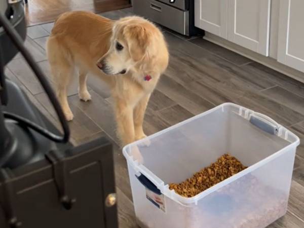 目の前に大量のドッグフードが！　飼い主も予想外だった、愛犬の『行動』とは？