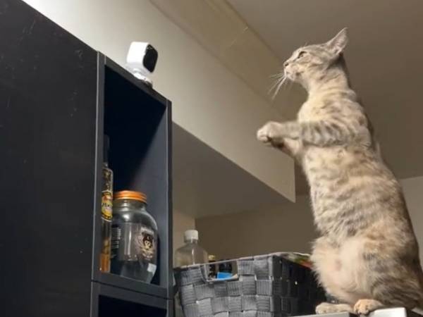 「なんという悲しい動画」　母親が娘に送った動画に映っていたのは…？