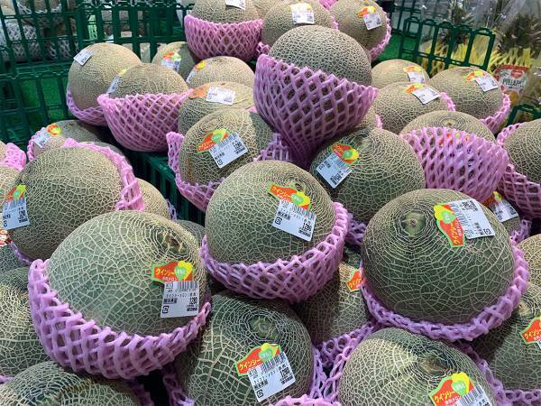 カットしたメロンはこう保存して！　方法に「その手があったか」