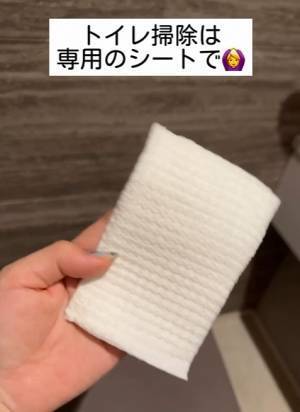 トイレ掃除でソレ使うと逆効果　意外なNG行為に「毎日やってた…」