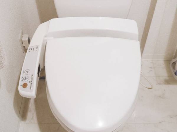 トイレ掃除でソレ使うと逆効果　意外なNG行為に「毎日やってた…」