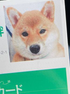 『会員証』の写真に「笑いが止まらない」　写っていたのは…？