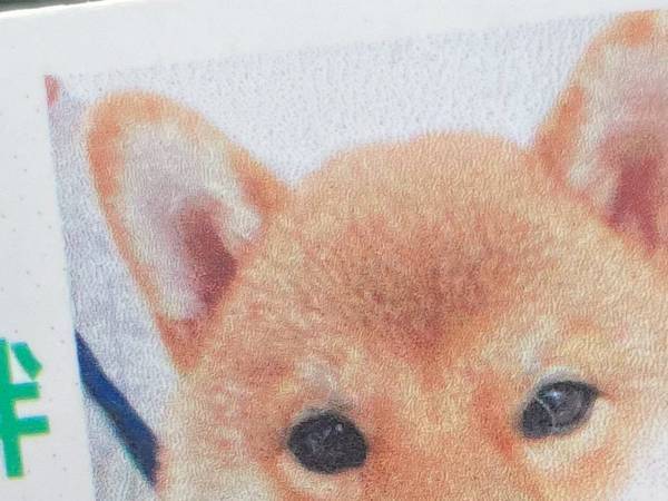 『会員証』の写真に「笑いが止まらない」　写っていたのは…？