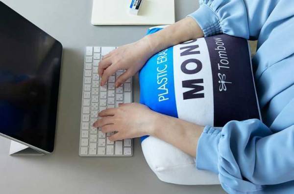 かなりの再現度！　雑誌付録のクッションが「ちょっと欲しい」と話題に