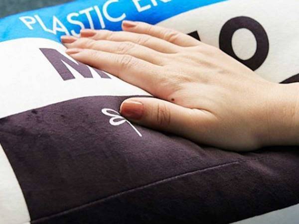 かなりの再現度！　雑誌付録のクッションが「ちょっと欲しい」と話題に