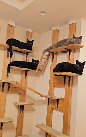 「なんて魅力的なの」「ずっと飾りたい」　鯉のぼりの代わりに飾られていた『あるもの』とは…