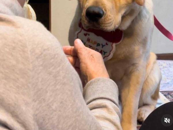 愛犬の誕生日を祝うインスタに『１４万いいね』　写真に「笑った」「貫禄がすごい」