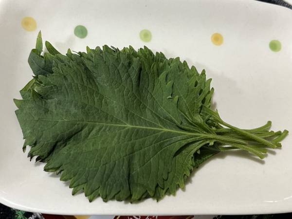 野菜を長持ちさせる保存方法に「いいこと聞いた」　大葉は袋を斜めに傾けて…