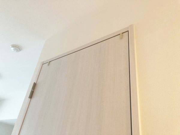 見落としがちなデッドスペース　セリアのグッズを使った『収納テク』に感動