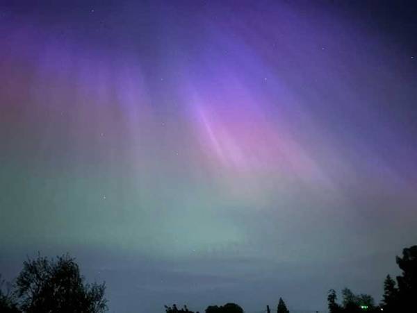 「待って」　寝室の窓から見えたものに衝撃「うらやましいとかの域を超えた」