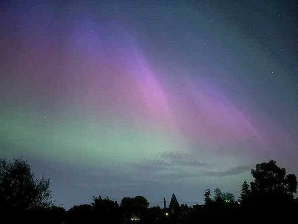 「待って」　寝室の窓から見えたものに衝撃「うらやましいとかの域を超えた」