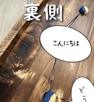 使い古した『スポンジ』の活用方法にビックリ　「真似します」「素敵な発想」