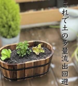 植物が植えられたプランター