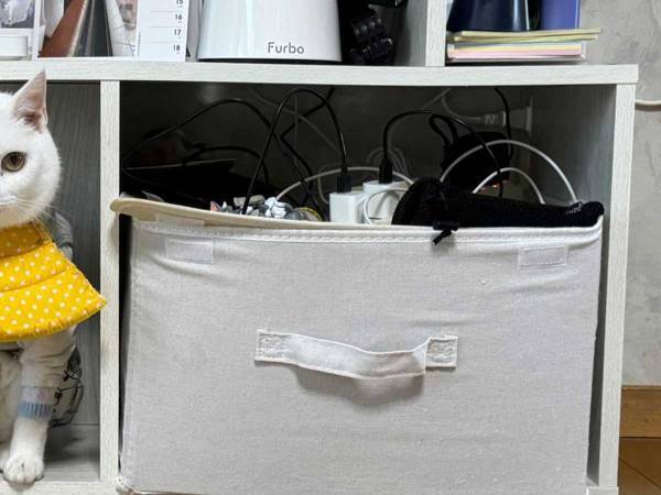 愛猫を探していた飼い主　ふと棚を見ると？　「コレは気付かない」