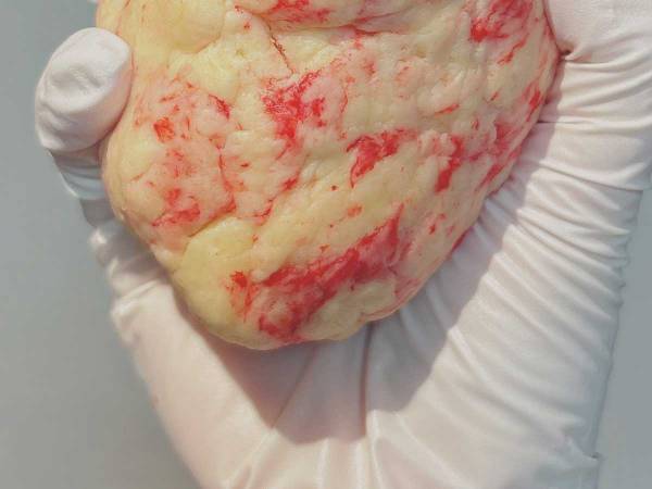 「食紅を入れてみました」　手作りスコーンがまるで？　「完全にアレだ」