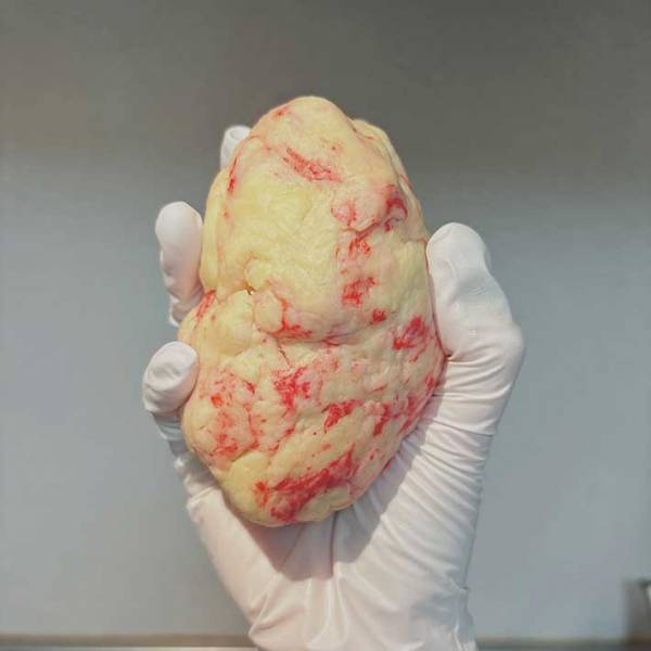 「食紅を入れてみました」　手作りスコーンがまるで？　「完全にアレだ」