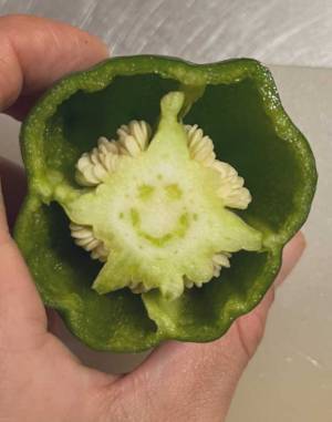 「選んでくれてありがとう、って顔してる」　切ったピーマンの断面、よく見ると…