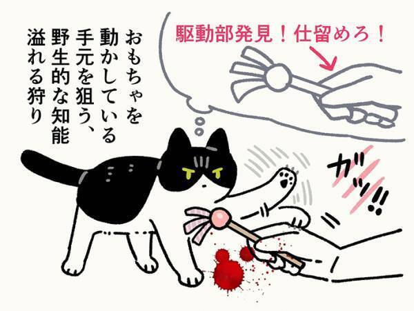 爪を出さずに遊ぶのは、なぜ？　４匹の行動に「理解できる」