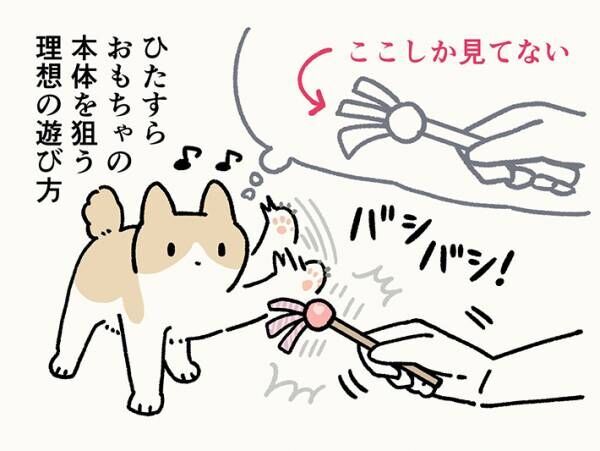 猫の日常のイラスト