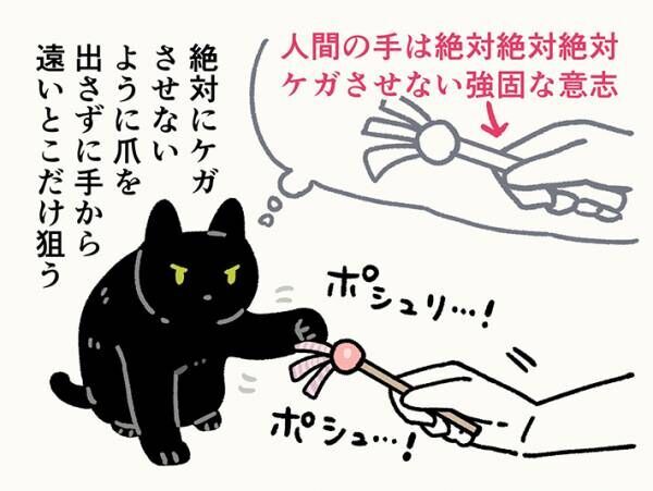 猫の日常のイラスト