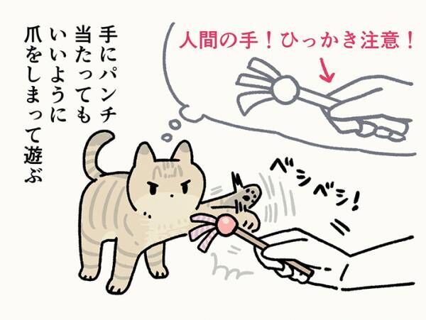 猫の日常のイラスト