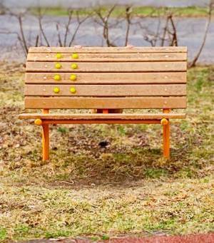 かくれんぼの天才現る　ベンチしかない公園で？　「忍者の発想」