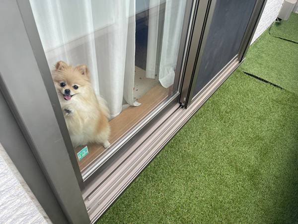 ベランダで作業した女性　目の前に広がった『景色』に「疲れが吹っ飛ぶ」