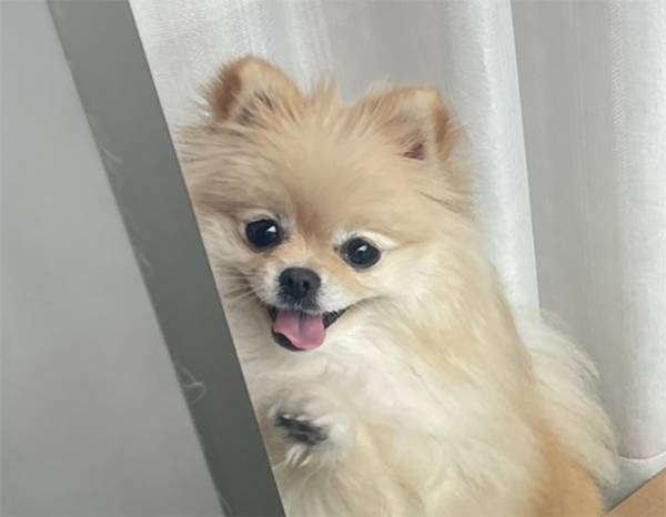 ベランダで作業した女性　目の前に広がった『景色』に「疲れが吹っ飛ぶ」