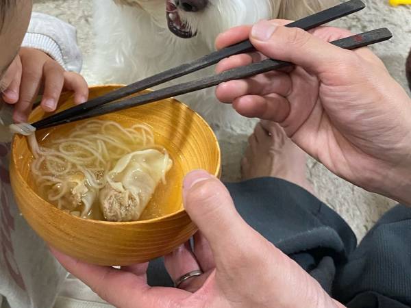 飼い主「顔に出やすい」　自分も食べたい犬の表情が…「確実にロックオンしてる」